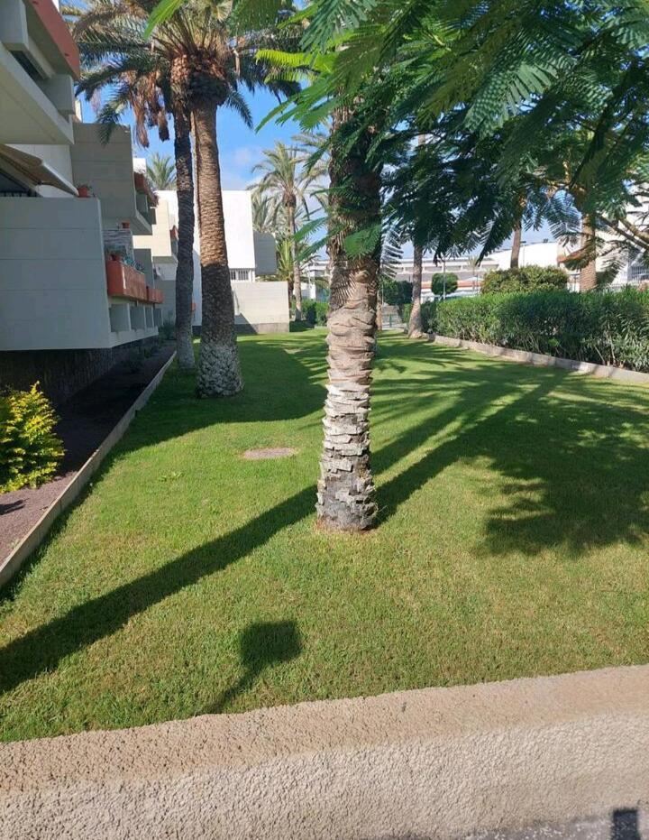Ferienwohnung Orita Las Galletas Exterior foto